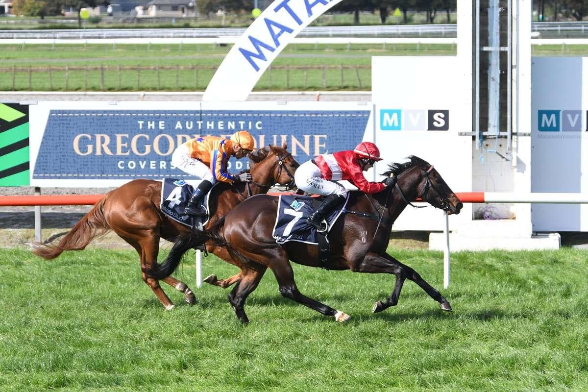 Picture of the author