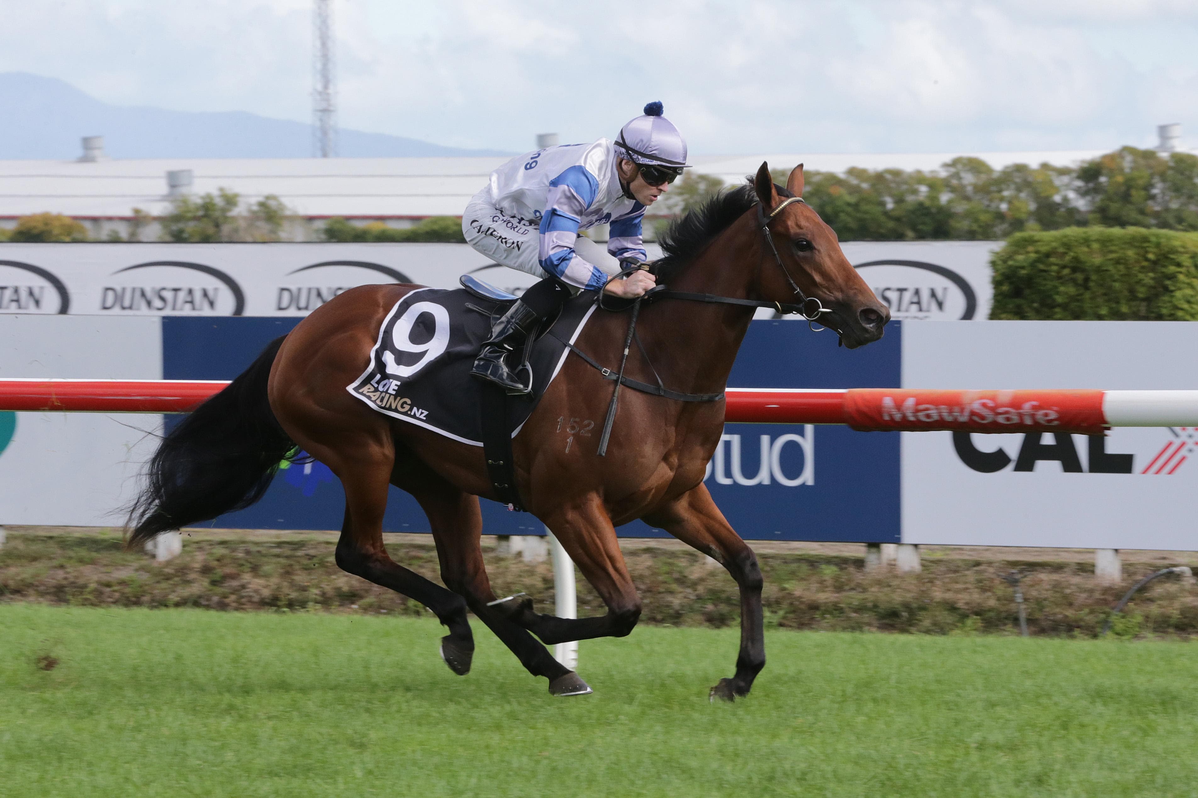 Picture of the author