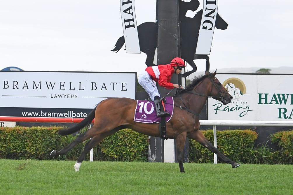 Picture of the author